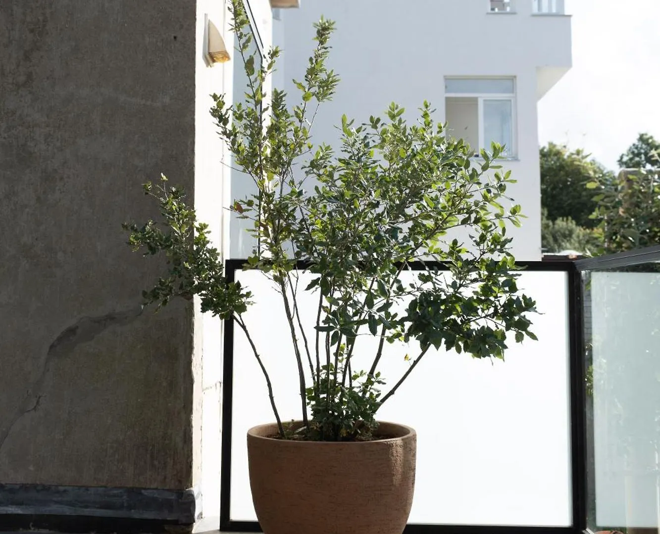 Huis Agnes Ostend 0*,